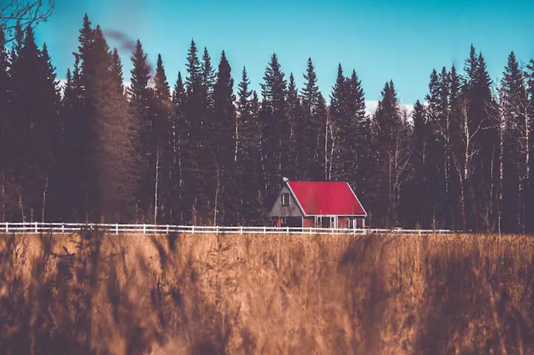 Photo of Others in Calgary