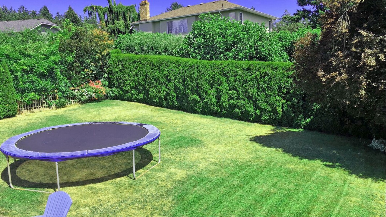 Photo of Outdoor in Saanich East