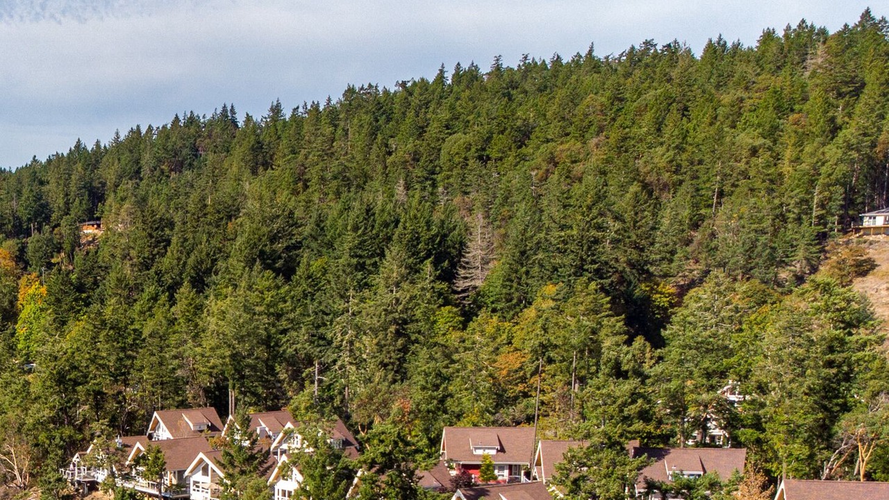 Photo of Outdoor in Pender Island