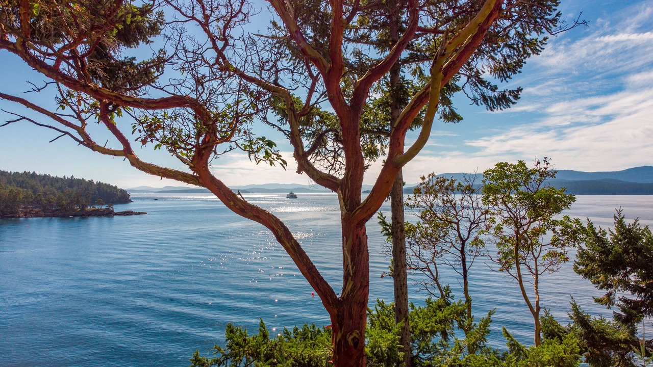 Photo of Others in Pender Island