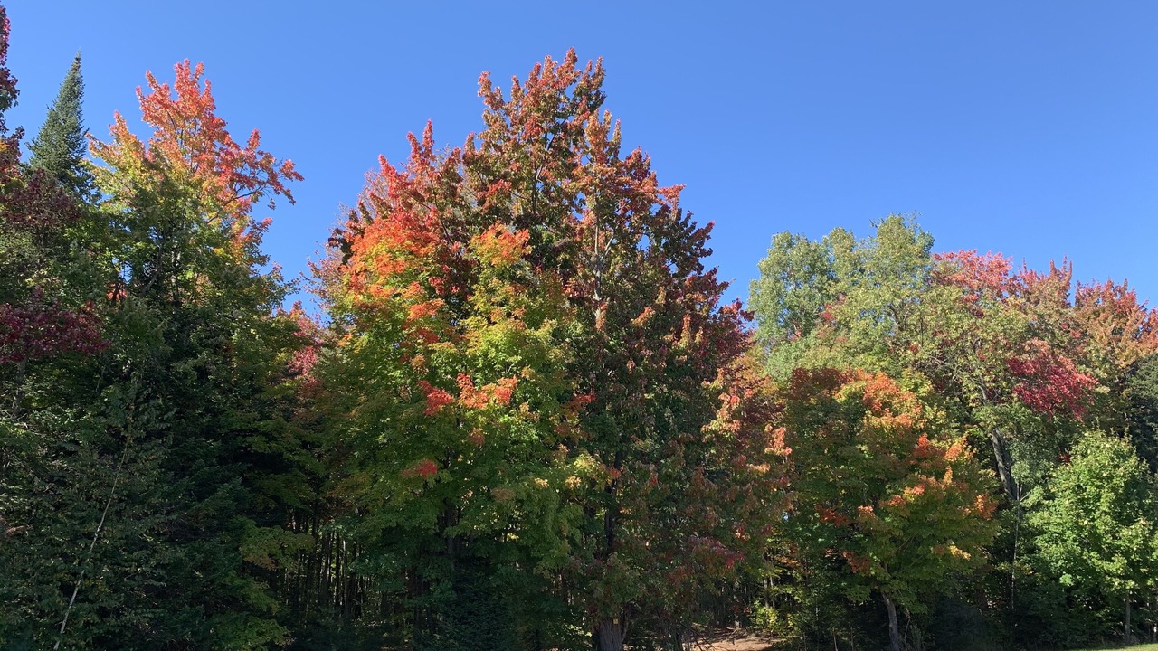 Photo of Outdoor in Saint-Cuthbert