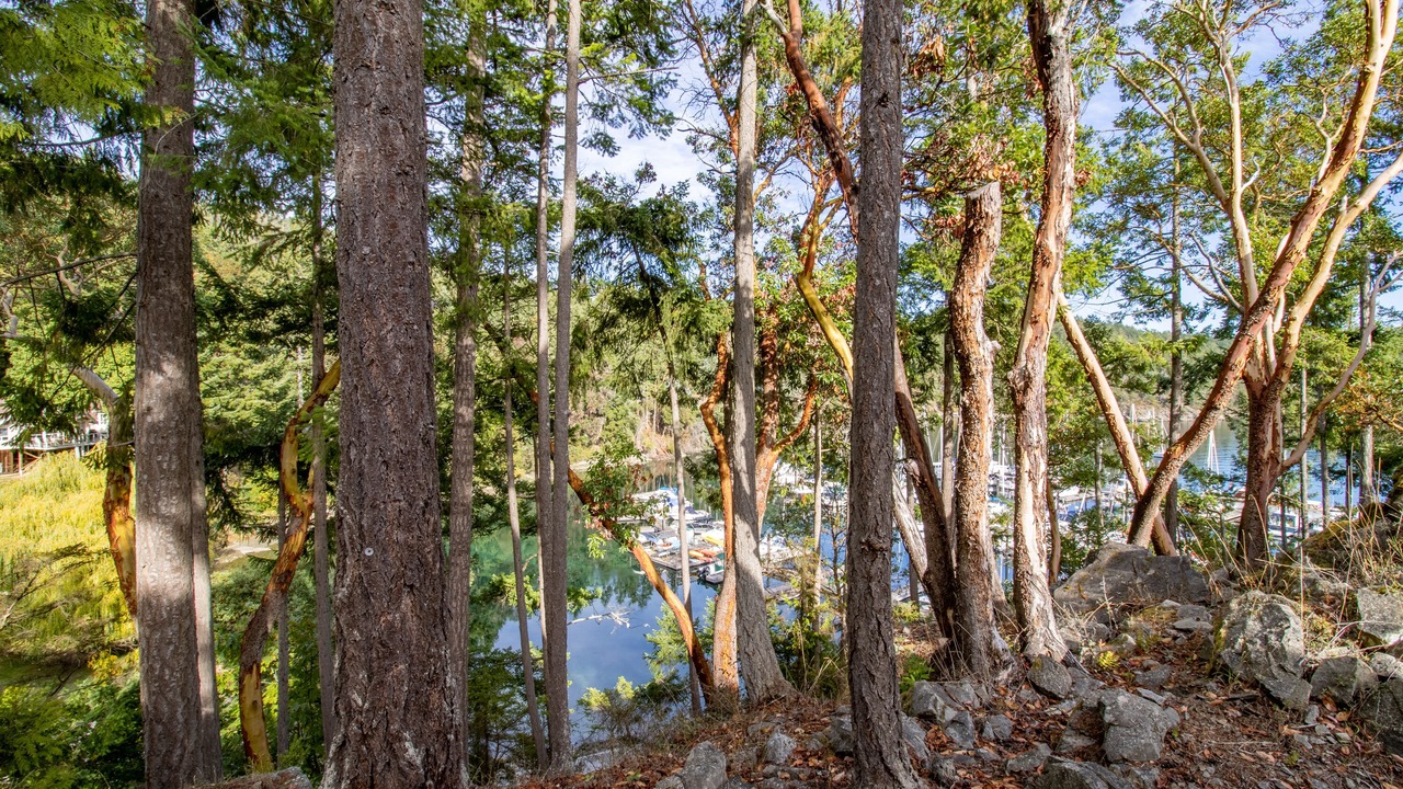 Photo of Outdoor in Pender Island