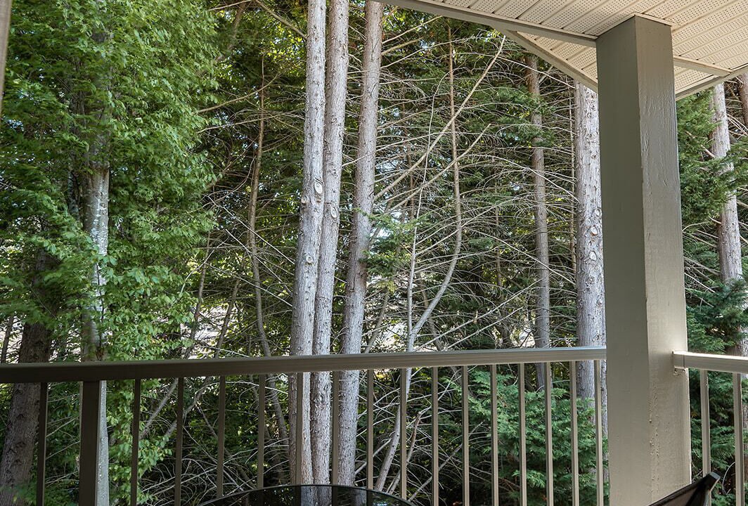Photo of Patio Balcony in Gibsons