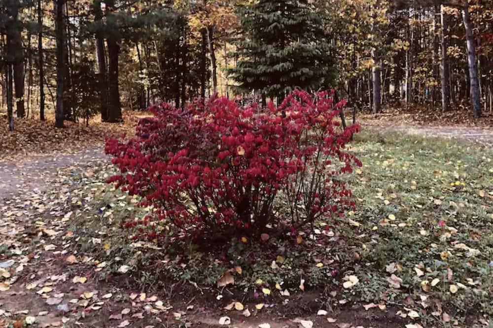 Photo of Outdoor in Madawaska Valley