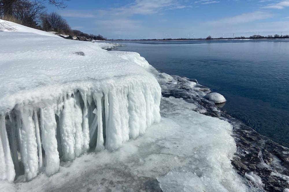 Photo of Others in Wolfe Island