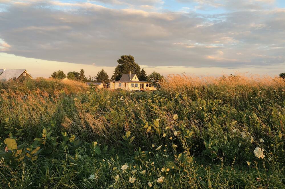 Photo of Outdoor in Wolfe Island