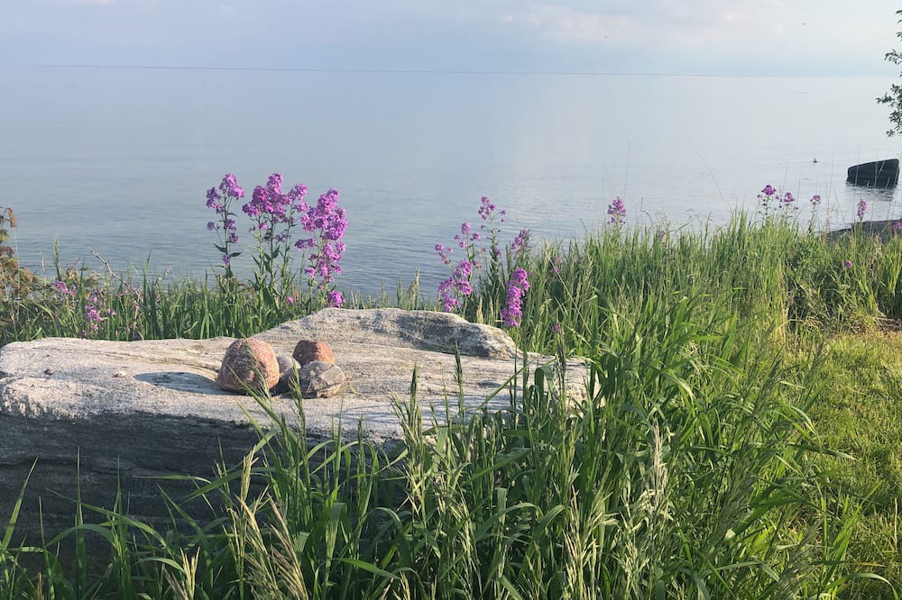 Photo of Others in Wolfe Island