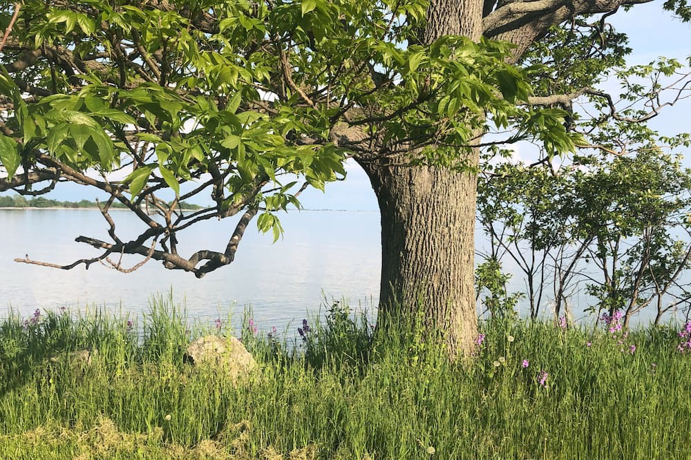 Photo of Outdoor in Wolfe Island