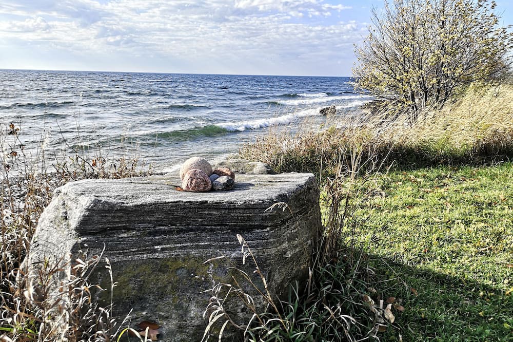 Photo of Others in Wolfe Island