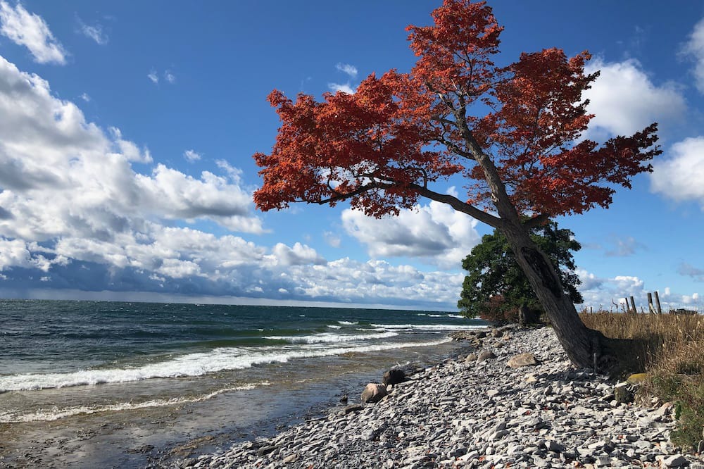 Photo of Others in Wolfe Island