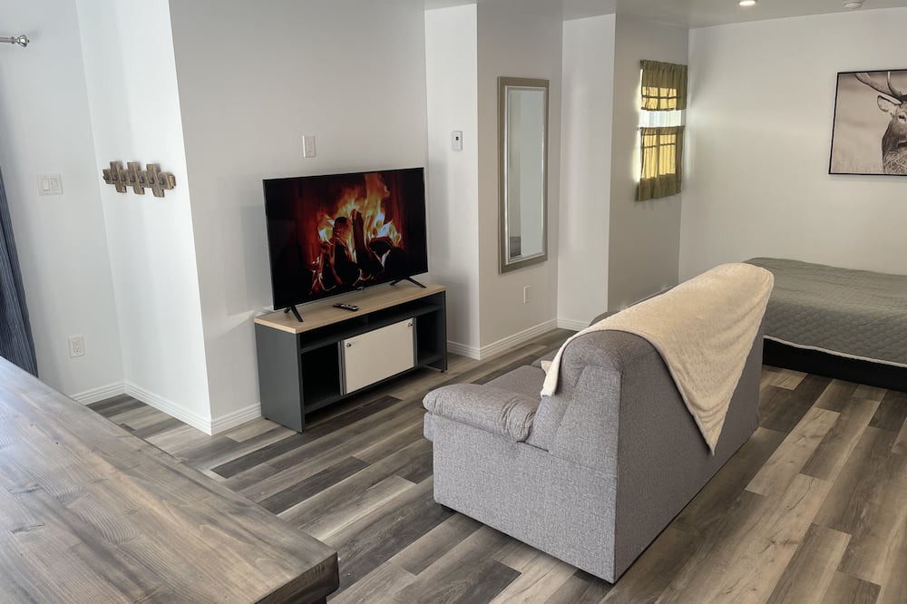 Photo of Livingroom in Masson-Angers