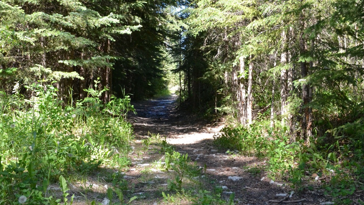 Photo of Outdoor in Sundre