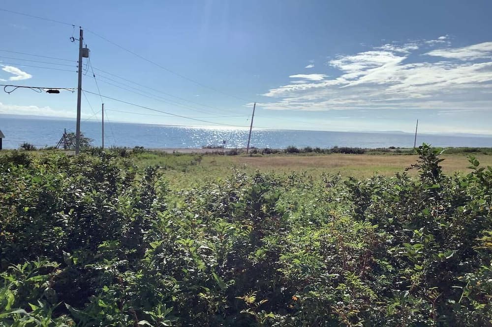 Photo of Others in Scots Bay