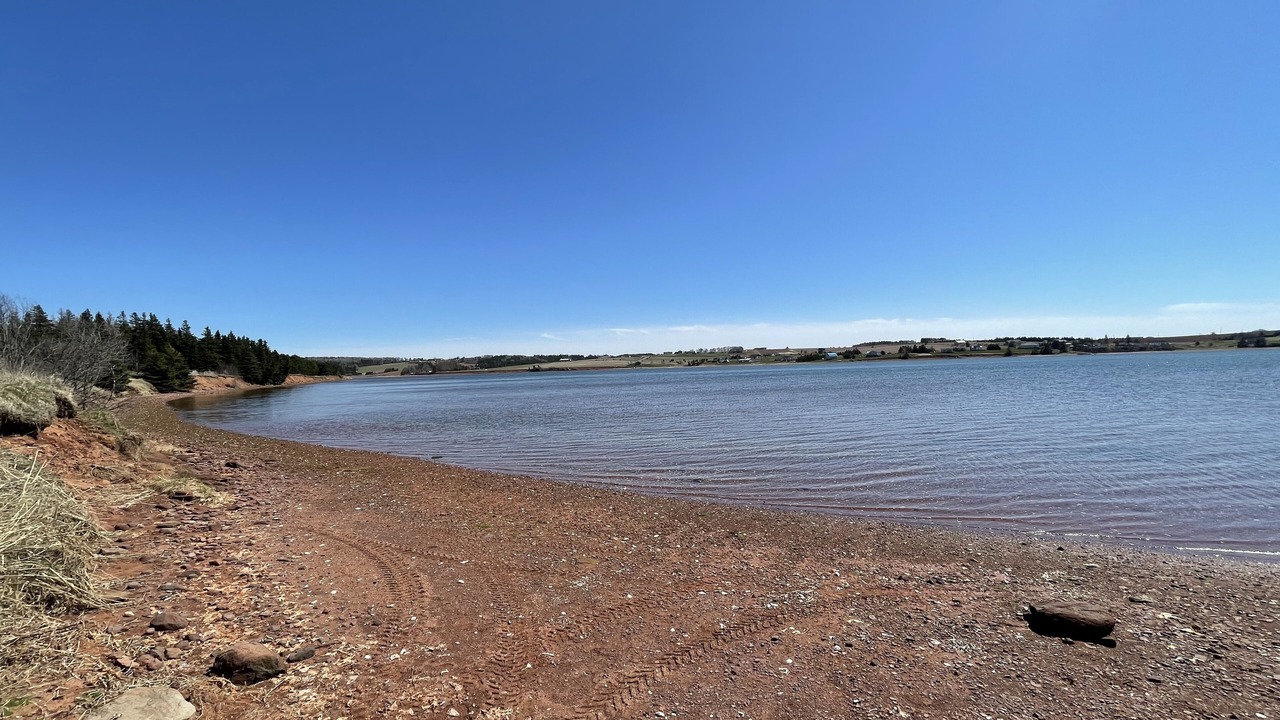 Photo of Others in French River