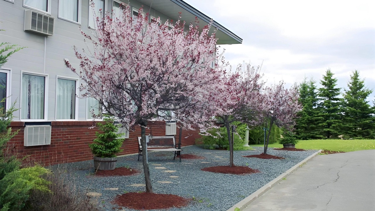 Photo of Outdoor in Florenceville-Bristol