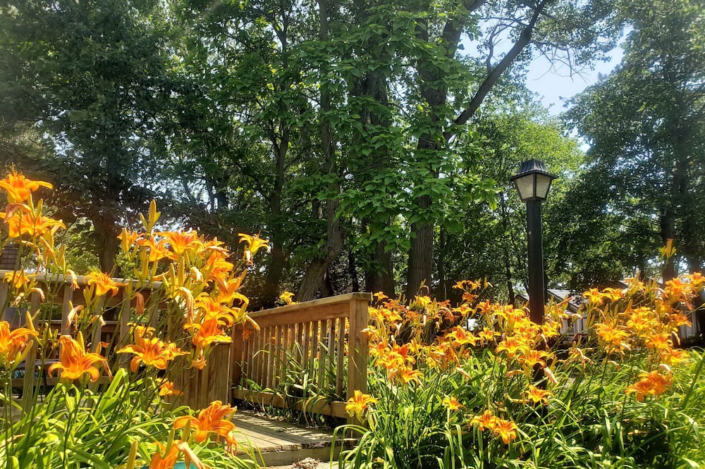 Photo of Outdoor in Wainfleet