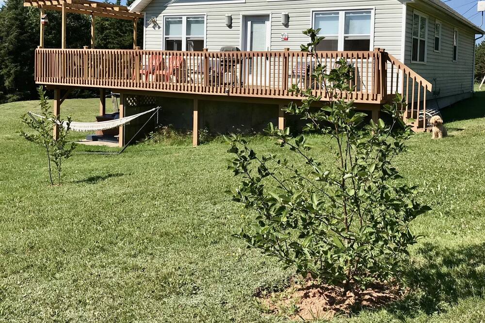 Photo of Outdoor in Found Mills