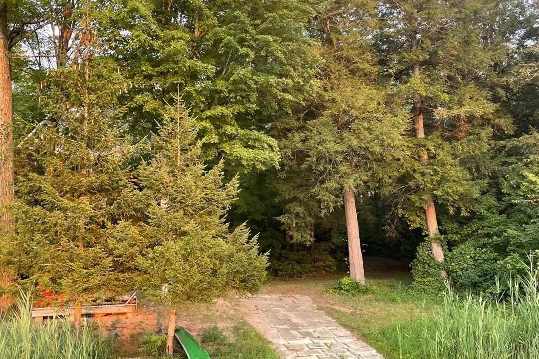 Photo of Outdoor in Leeds and the Thousand Islands