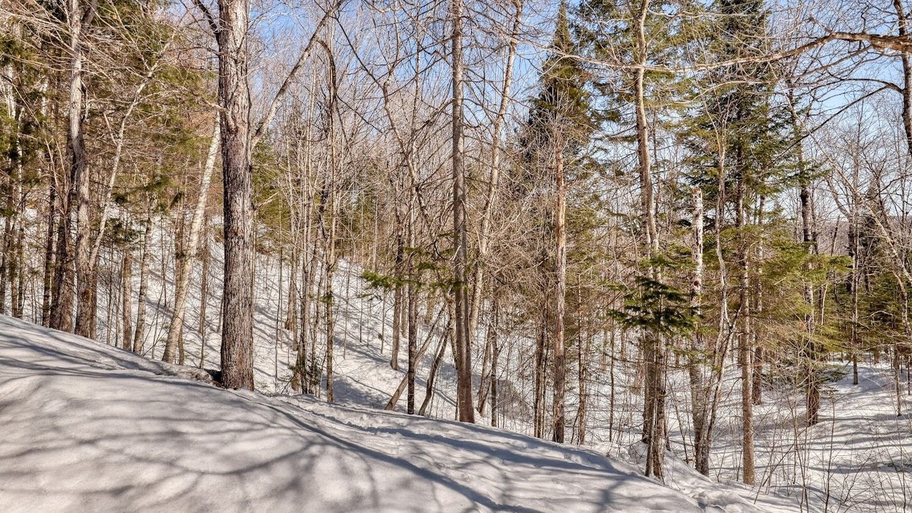 Photo of Outdoor in Mandeville