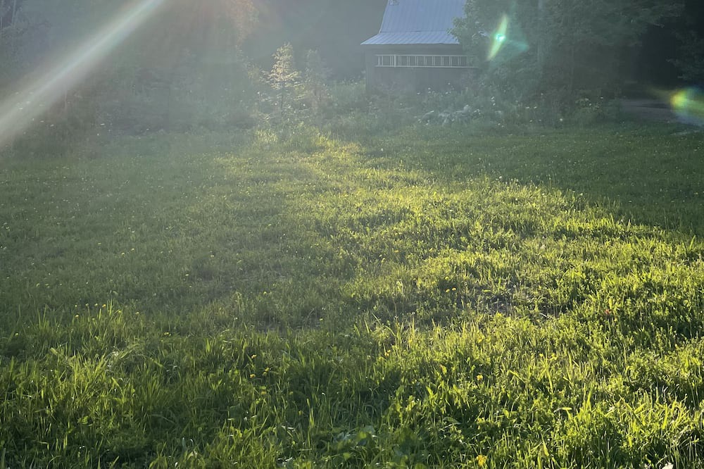 Photo of Outdoor in Grey Highlands