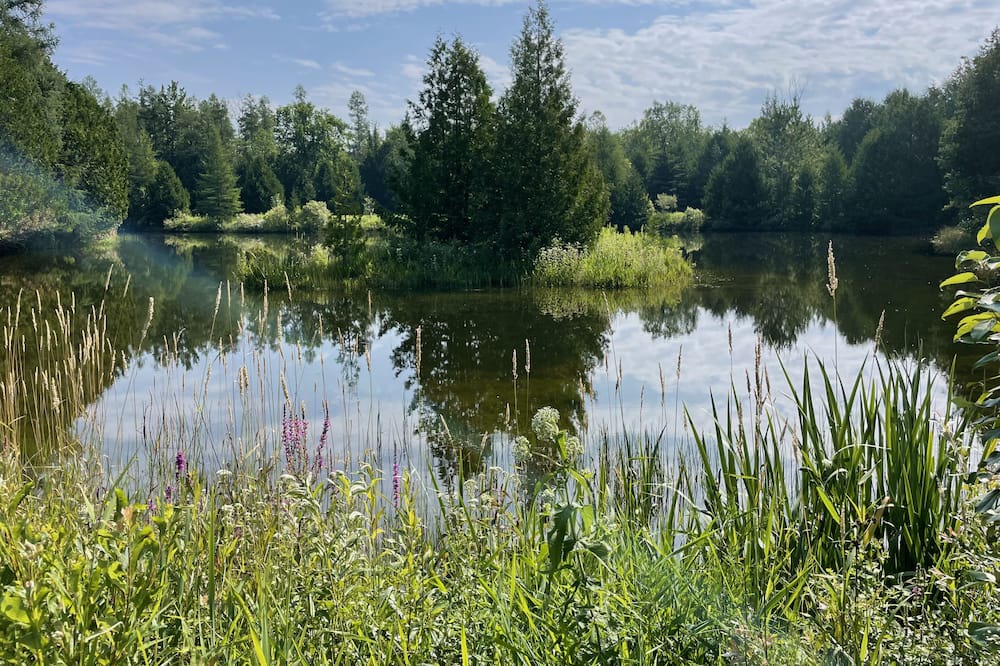 Photo of Outdoor in Grey Highlands