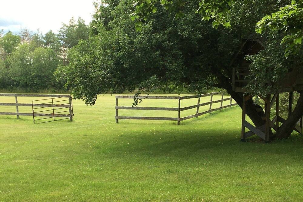 Photo of Outdoor in Prince Edward