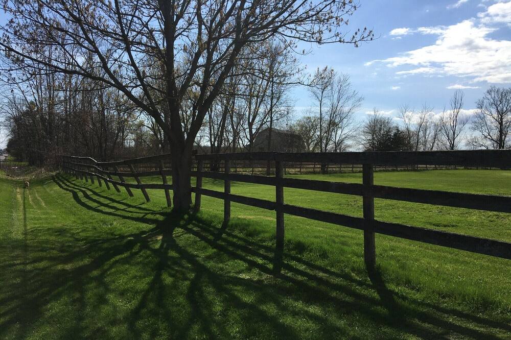 Photo of Outdoor in Prince Edward