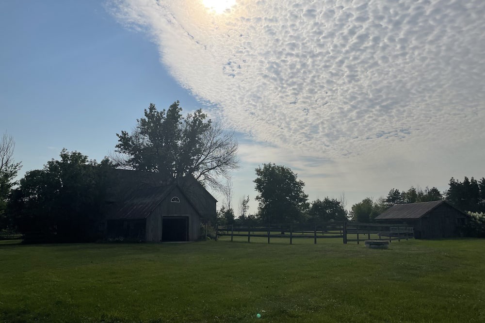 Photo of Outdoor in Prince Edward