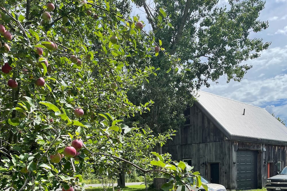 Photo of Outdoor in Prince Edward