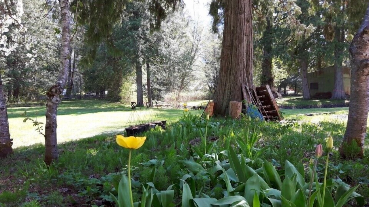 Photo of Patio Balcony in Mount Currie