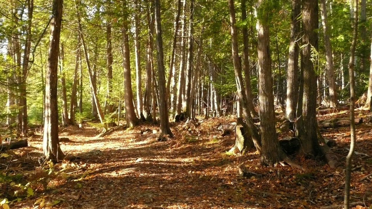 Photo of Outdoor in Saint-Michel-des-Saints