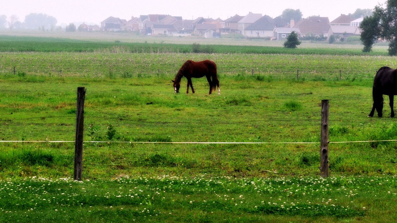 Photo of Outdoor in Saint-Marc-sur-Richelieu