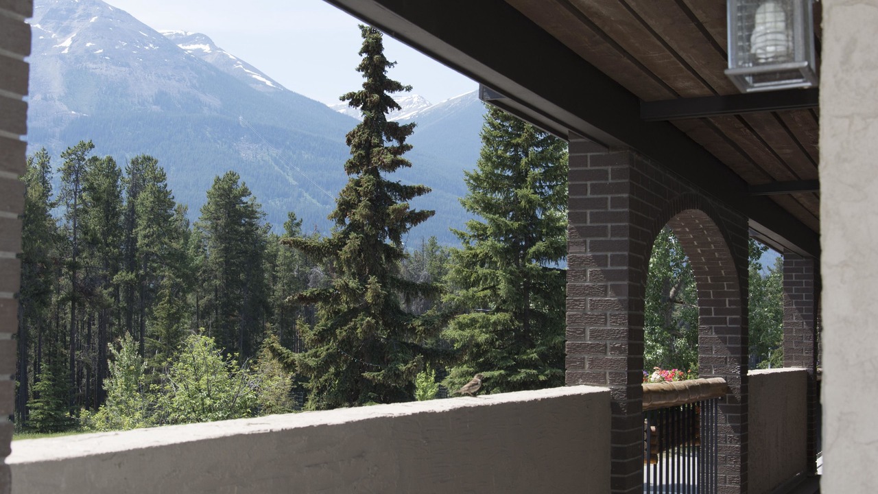 Photo of Others in Jasper