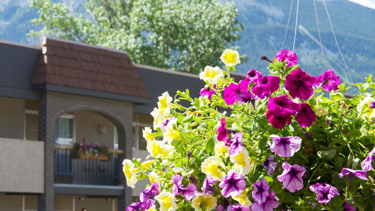 Photo of Others in Jasper