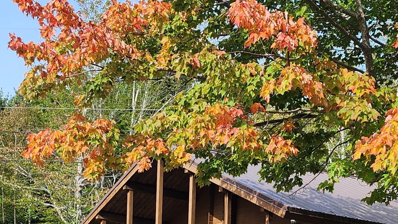 Photo of Outdoor in Ingonish