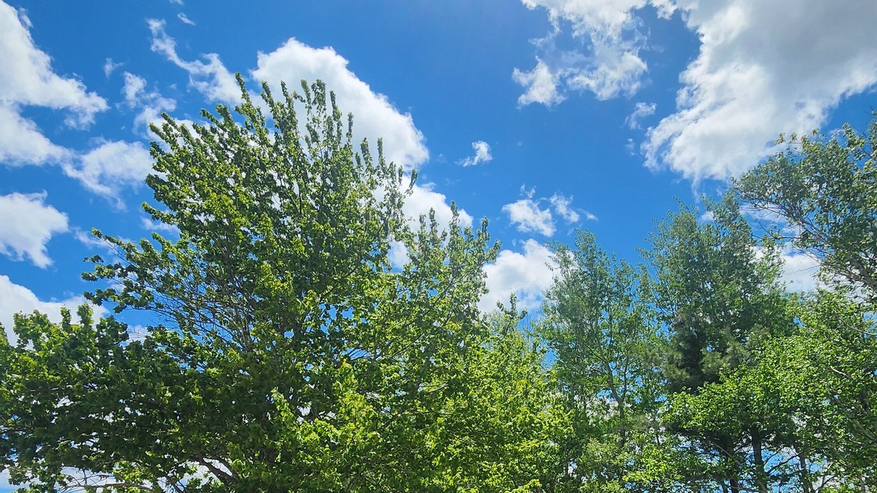 Photo of Outdoor in Ingonish