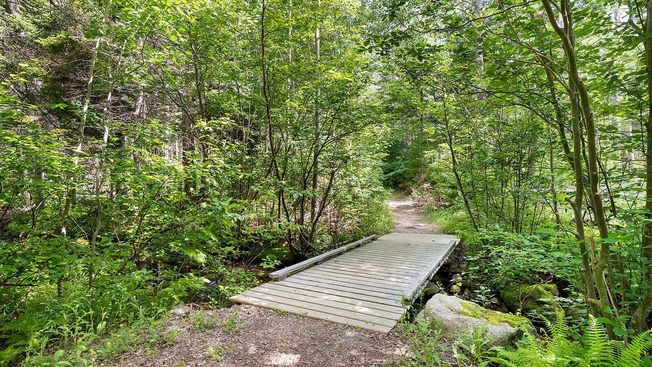 Photo of Outdoor in Ingonish
