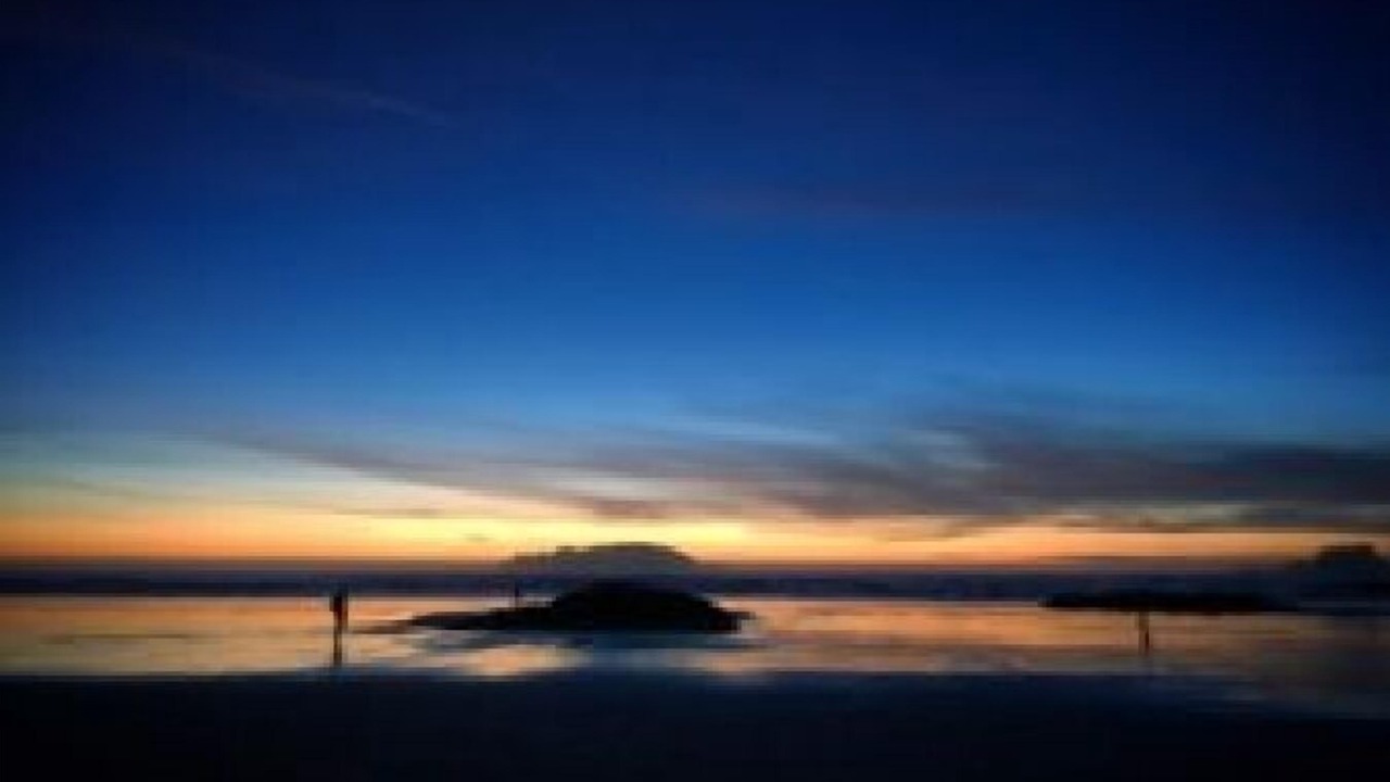 Photo of Others in Tofino