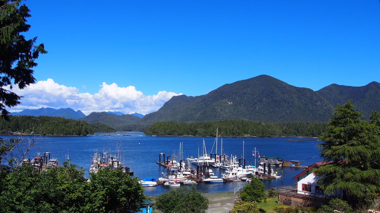 Photo of Others in Tofino
