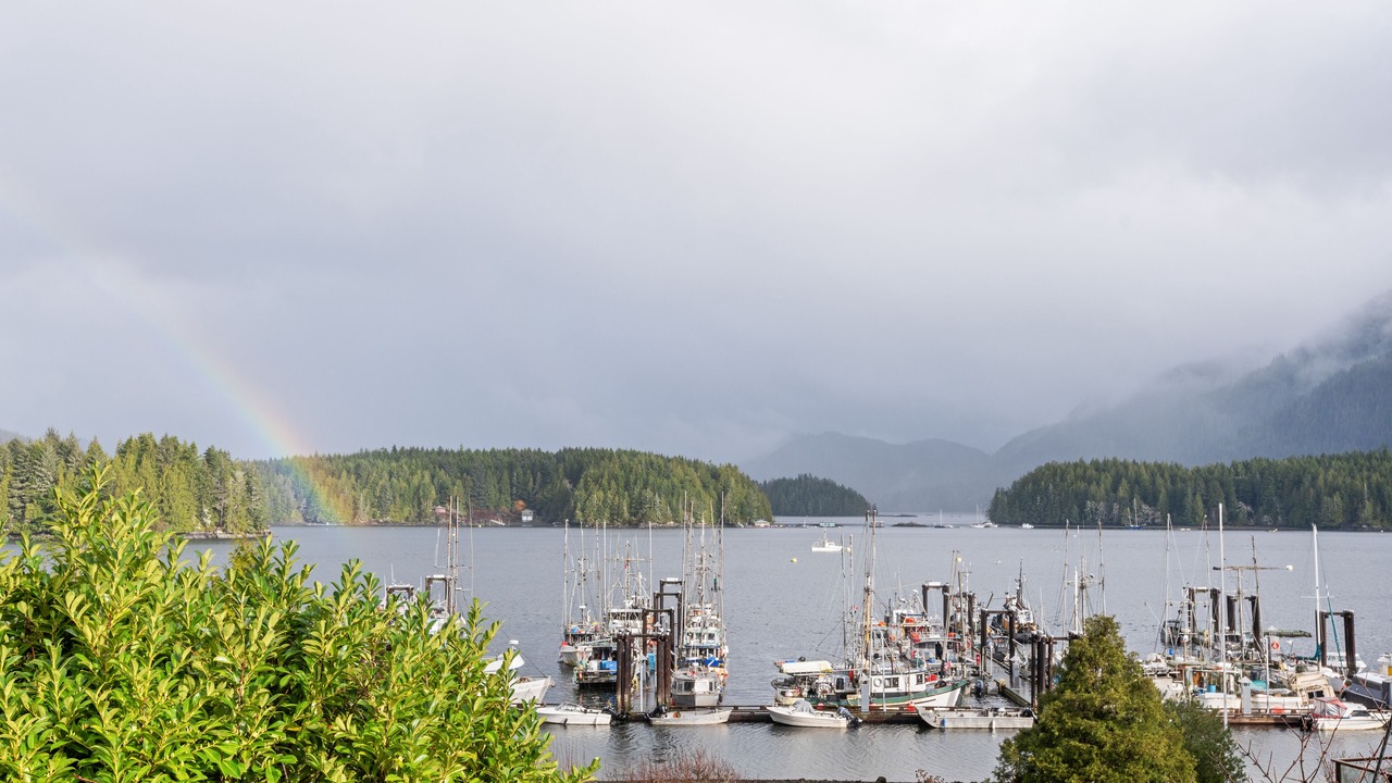 Photo of Outdoor in Tofino