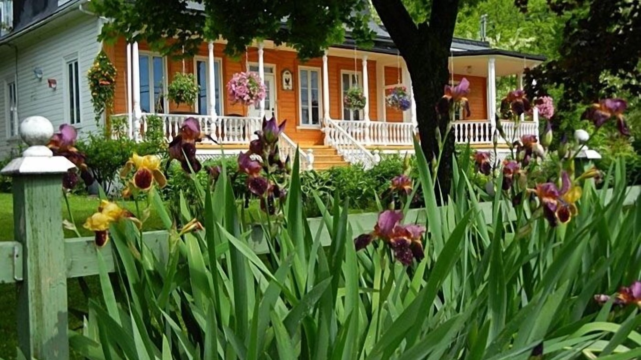 Photo of Outdoor in Chateau-Richer
