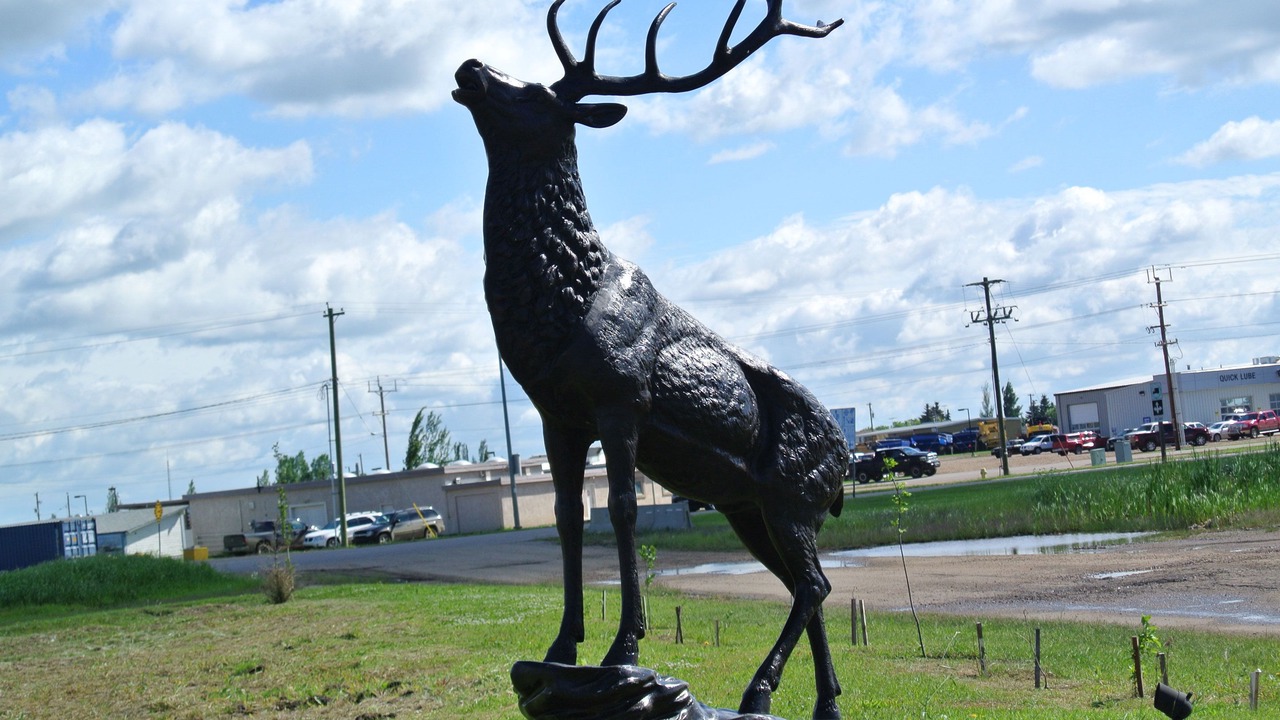 Photo of Outdoor in Vegreville