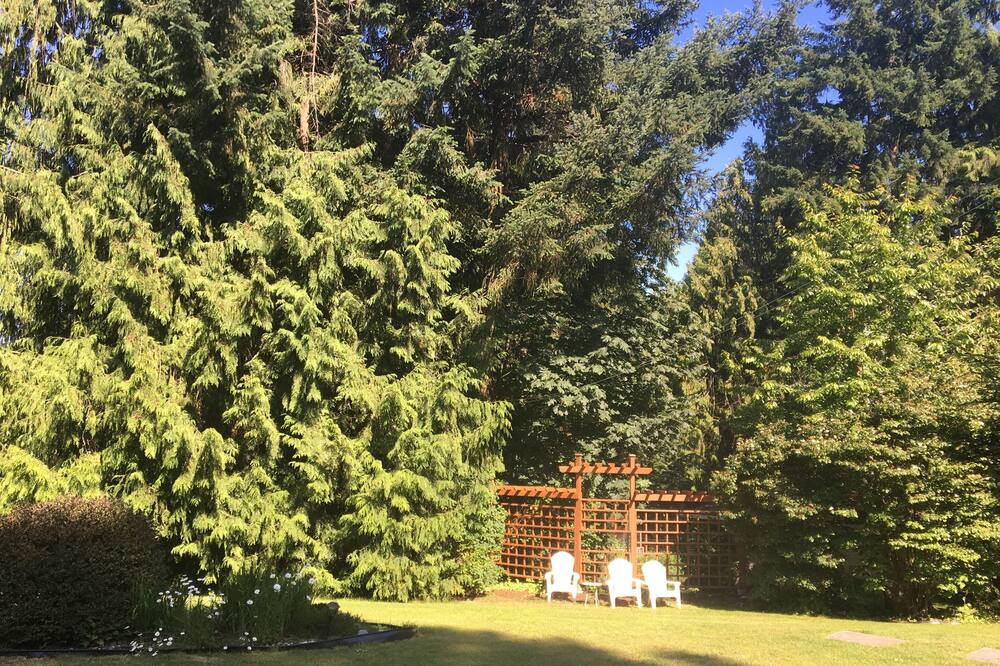 Photo of Outdoor in Mill Bay