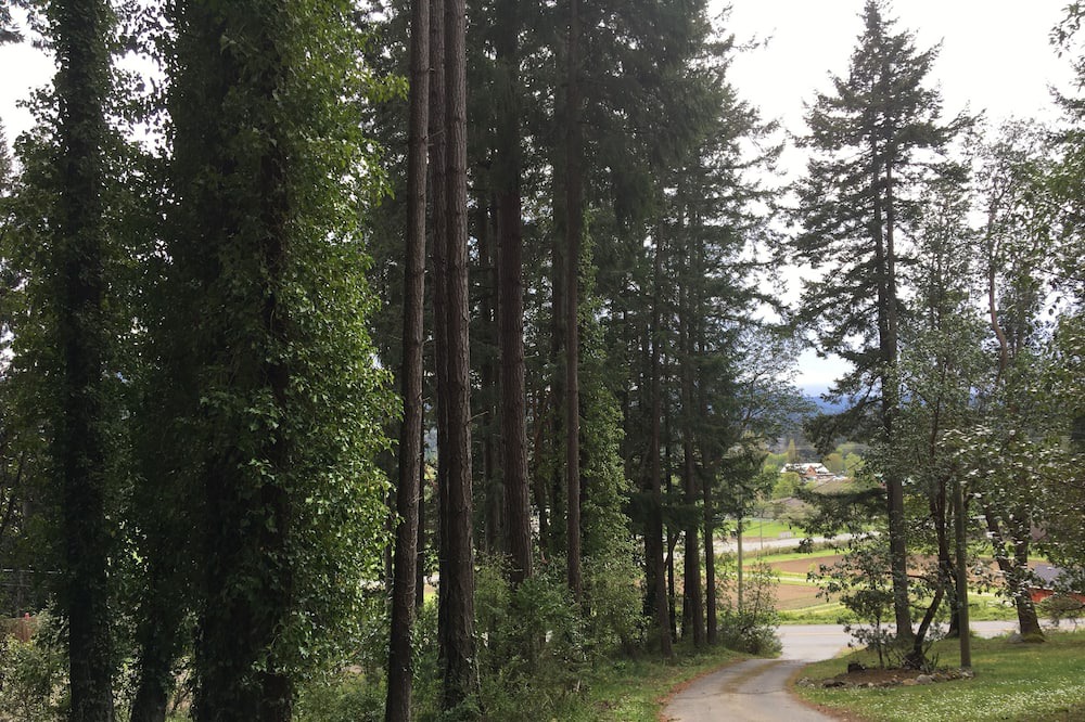 Photo of Outdoor in Mill Bay
