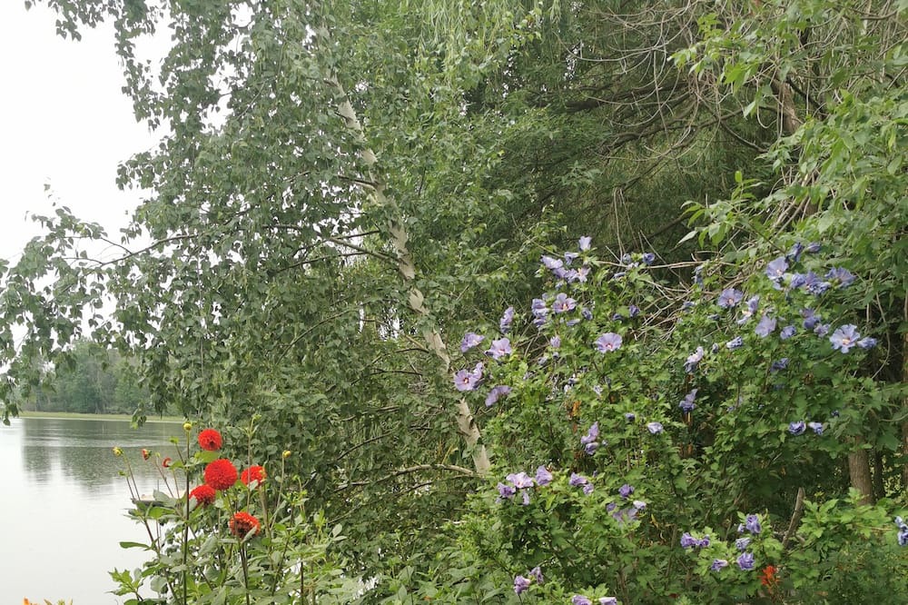 Photo of Outdoor in Vaudreuil