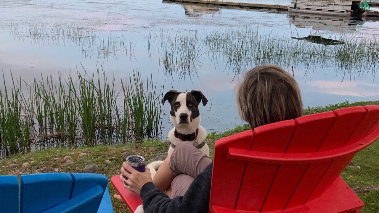 Photo of Outdoor in Westport