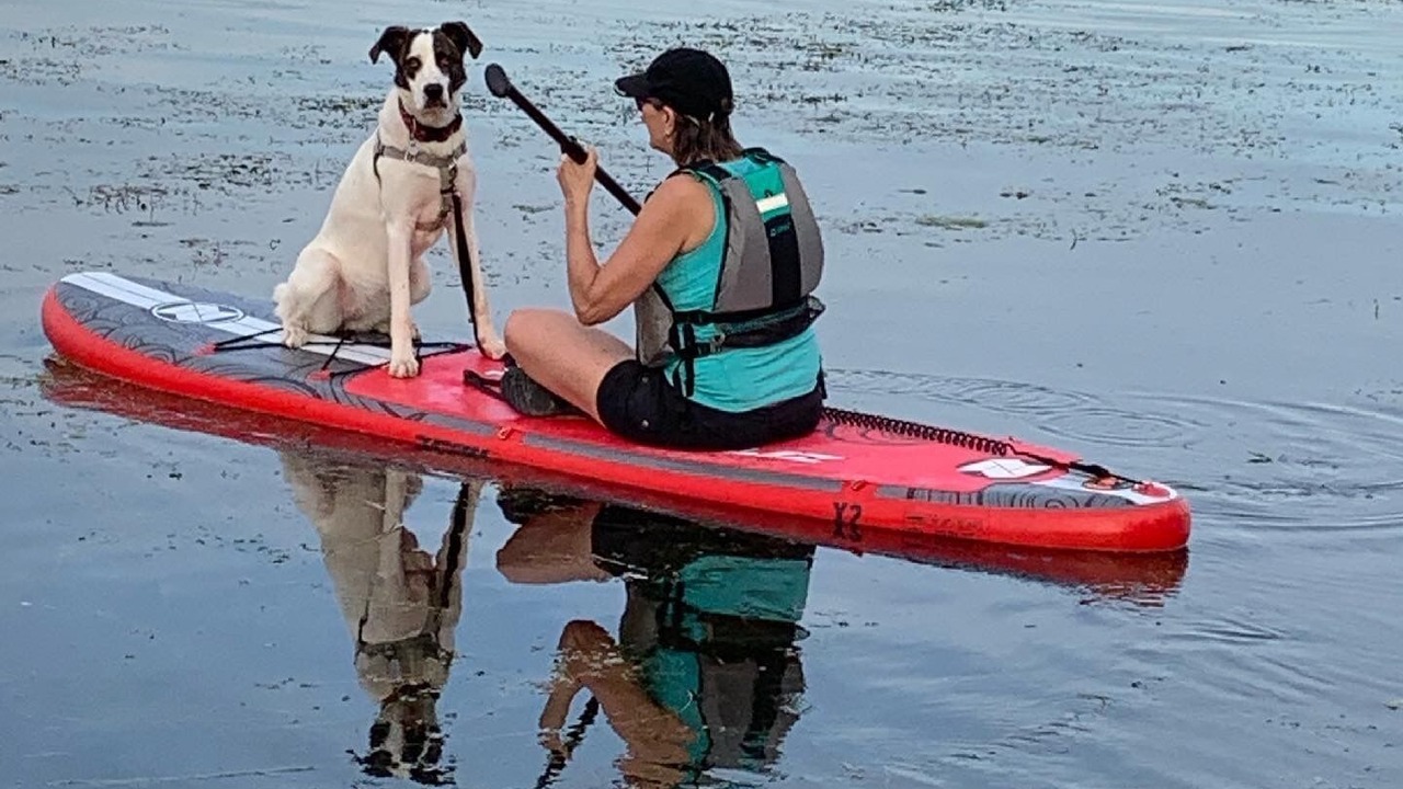 Photo of Others in Westport