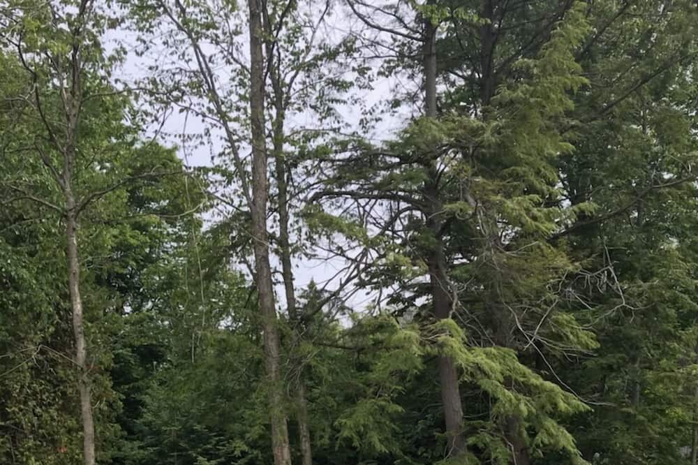 Photo of Outdoor in Huron-Kinloss