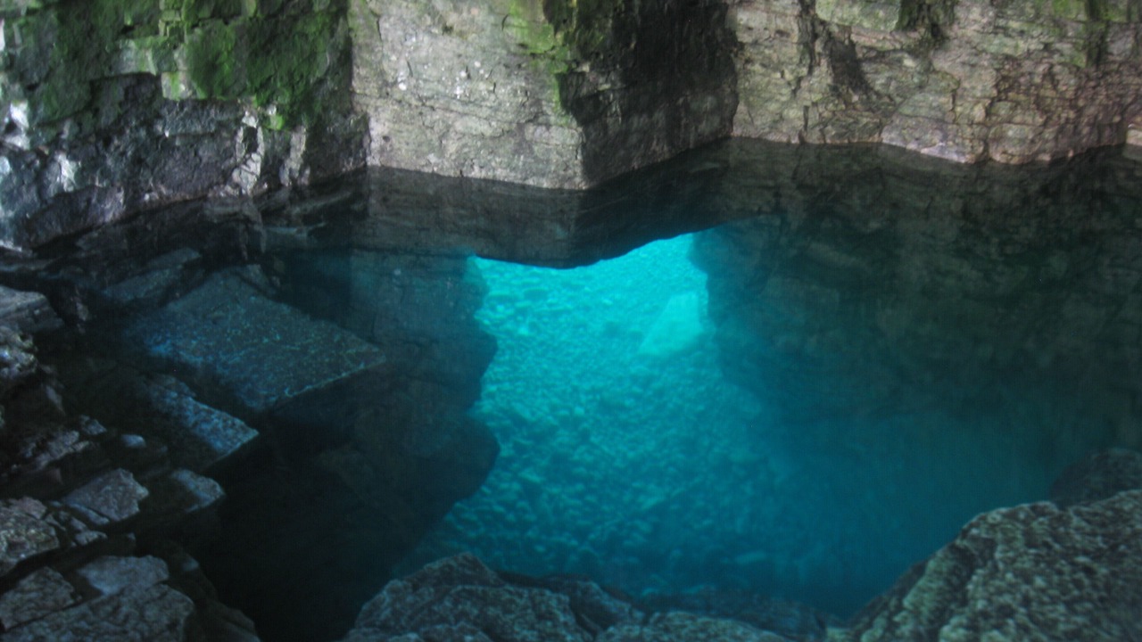 Photo of Others in Tobermory