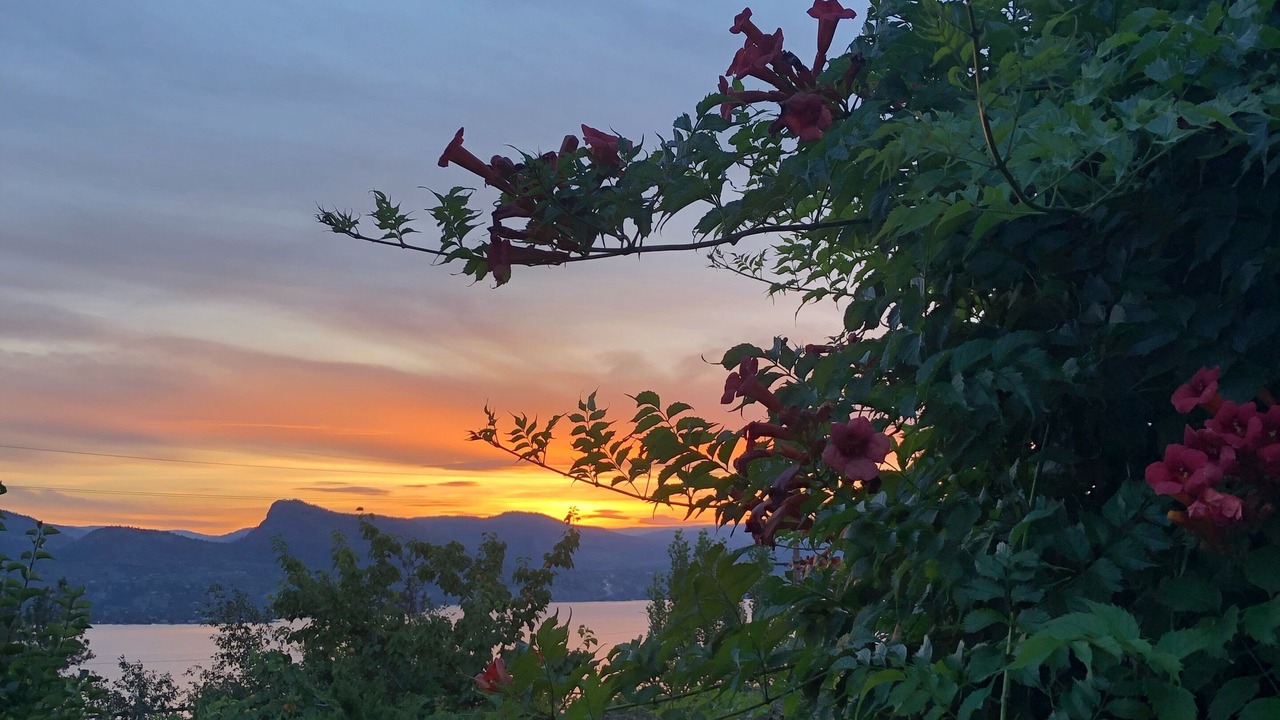 Photo of Others in Okanagan-Similkameen